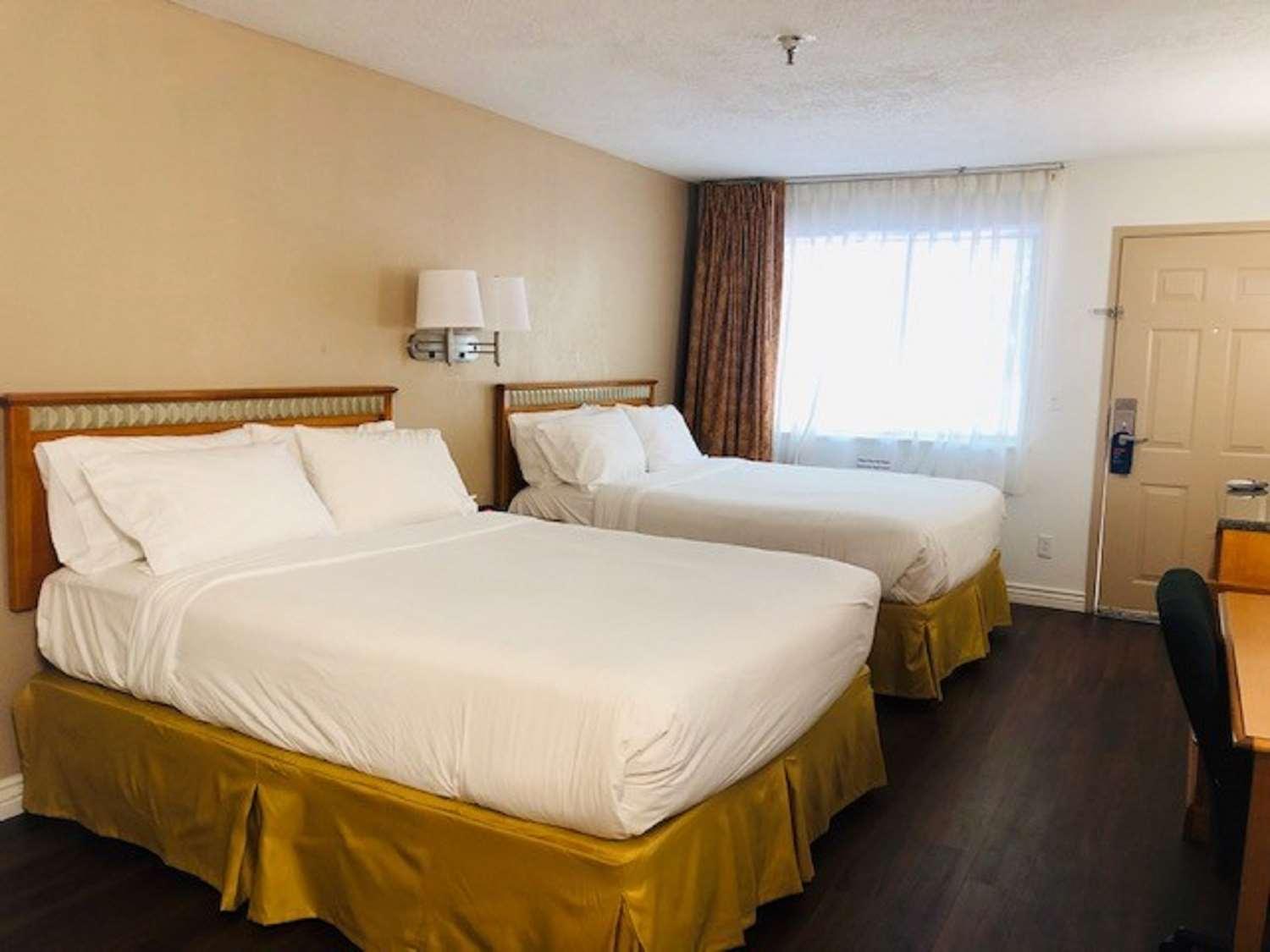 ชัวร์สเตย์ พลัส โฮเต็ล บาย เบสต์ เวสเทิร์น แอลบูเคอร์คี 140 ยูแบงก์ Hotel ภายนอก รูปภาพ